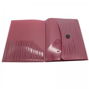 A4 maat PP Plastic knop Documenttas voor school en kantoor